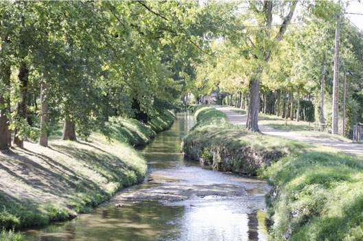 Rigole de la Plaine - Crédit photo : Couleur Média