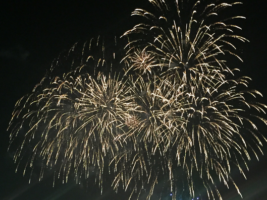 Fireworks in Japan (Image) summer festival event attraction Tachikawa Showa Kinen Park Western Tokyo Tama area Tama Tourism Promotion - Visit Tama