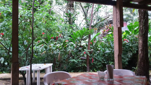 View from my table in the restaurant in El Panchan Don Mucho Palenque jungle