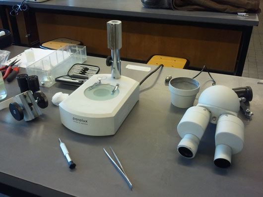 Claude Gonon Microscopie réparation de loupe binoculaire Olympus