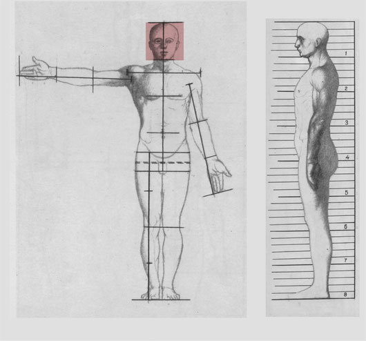 Viii Le Proporzioni Del Corpo Umano Randi Arte Pittura E Dintorni