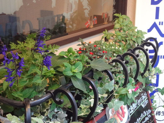店の前の花壇にはハーブなどがいっぱいです！
