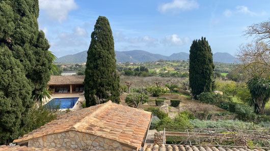 Wundervoll: Februar 25 zur Mandelblüte auf Mallorca 