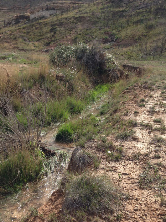 La source à Cantini