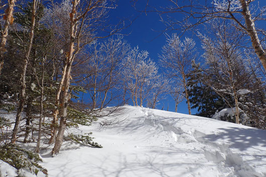 八ヶ岳　西岳　雪山登山ツアー