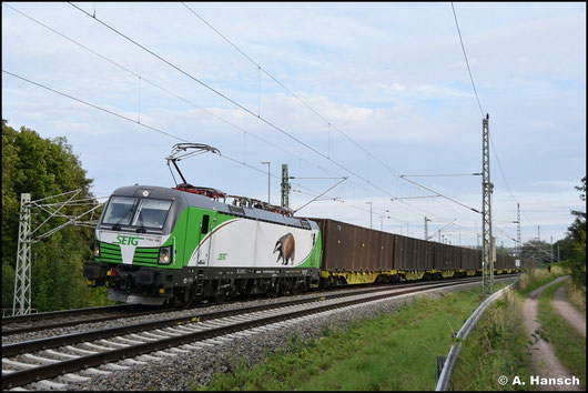 Am Abend des 08. August 2025 schleppt 7193 108-6 "Dachs" der SETG den Hackschnitzelzug aus Wiesau durch Chemnitz-Furth