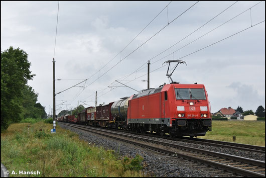 Mit gemischtem Zug rollt 185 244-1 am 01.08.2025 durch Luth. Wittenberg Labetz in Richtung Falkenberg