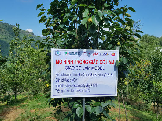 Giao co lam model farm