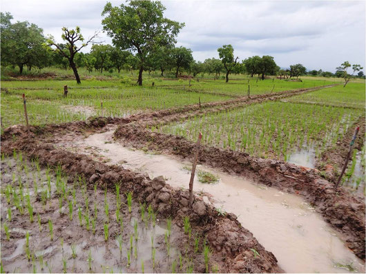 Improved water management during the rainy season