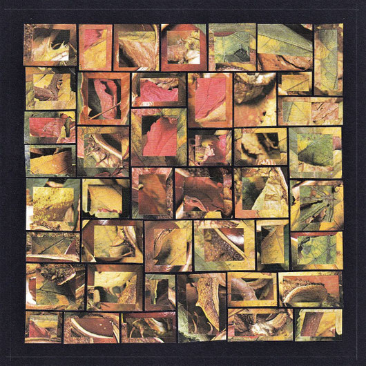 Collage 275, 2020.10, 20x20cm