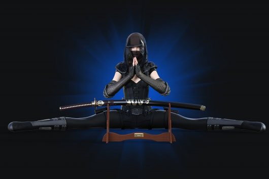 What is the secret of the ninja's diet?