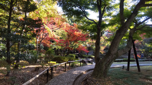 秋の大田黒公園