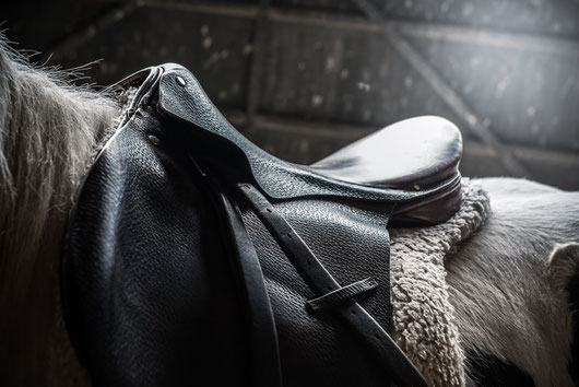 selle cheval cuir graisse