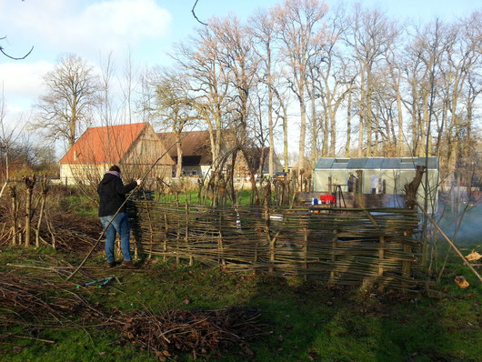 Hier erkennt man schon gut den Flechtzaun...gar nicht so einfach zu bauen, man benötigt schon einige Kraft und Geschicklichkeit.