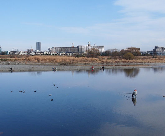 １月４日（2015）　多摩川釣景色：ニケ領上河原堰堤の近く（調布市の対岸、川崎市多摩区からの眺め）