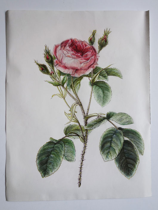 paintings, ink, pencils, chalk, art creations, paper drawing, classical art, art gallery, felt, pastel, glitter, varnish, graphic design, still life, artistic, painting workshop, visual arts, artist from france, visual design
