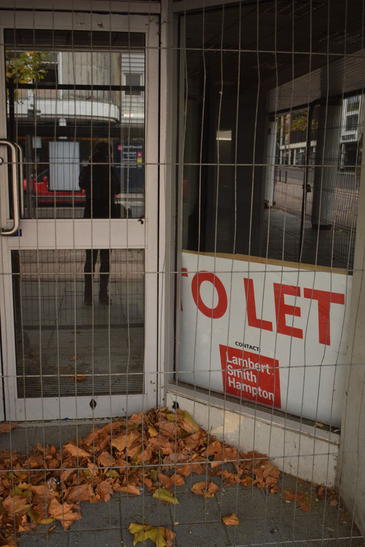 dead leaves and a reflection in a 'to let' empty shop window