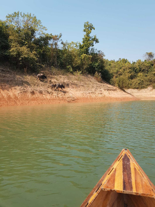Nam Ngum Reservoir
