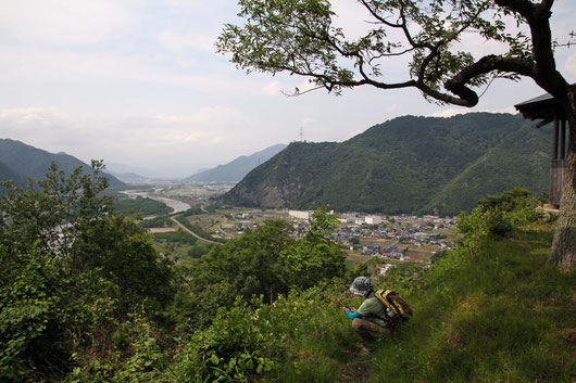 写真12　半過岩鼻山頂