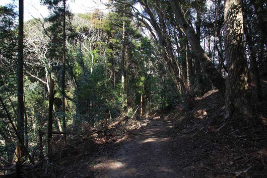 いくつかある登山道の入口はすべて閉鎖されていたが、立入禁止ではない道に入ってみた