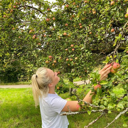 Snacktime! Am Wegesrand stehen viele Apfelbäume, die sicherlich den ein oder anderen Apfel für dich entbehren können.