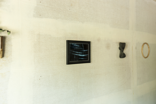 個展「カタチノタネ」(撮影:山口明宏 Akihiro Yamaguchi)