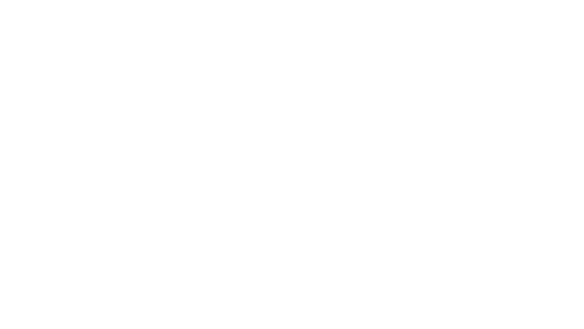 公式サイト