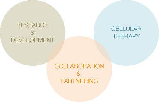 Our Vision PL BioScience