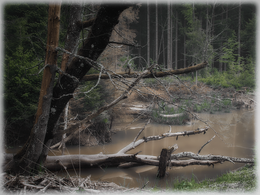 Eine andere Welt