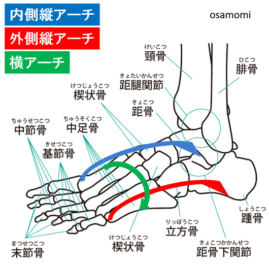 オサモミ整体院 足部アーチ