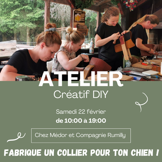 STAGE ATELIER CREATIF DIY COLLIER CHIEN