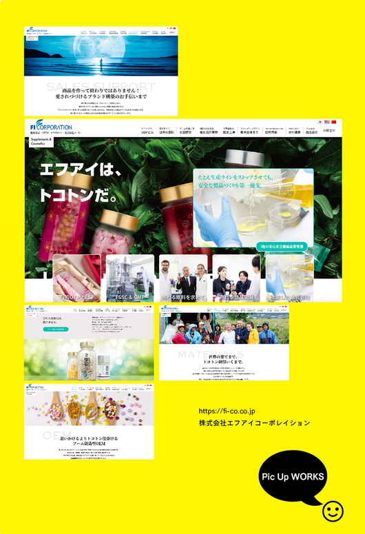 エフアイコーポレイション　WEB  実績 　ノープランニング