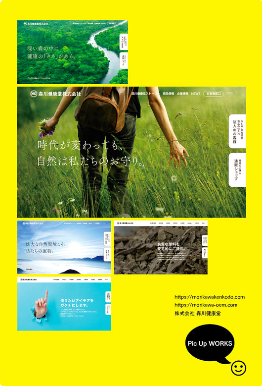 森川健康堂　WEB  実績　ノープランニング