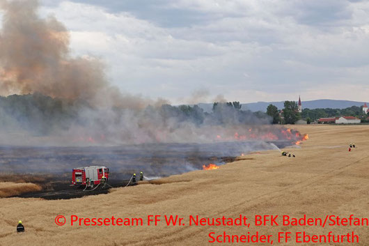 Feuerwehr, Blaulicht, FF Wr. Neustadt, Flurbrand, Ebenfurth, Feld, Weizen
