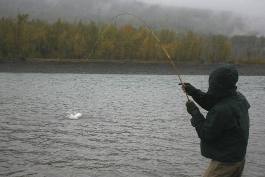 Steelhead Skeena Edwards Bamboo Rod