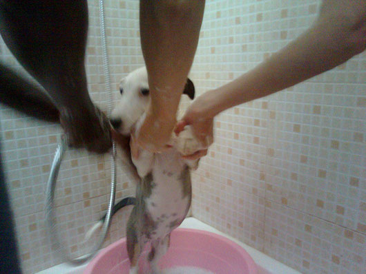 IL BAGNO!!!!!