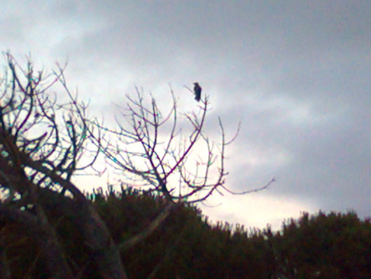 SOLITUDINE- foto scattata da me
