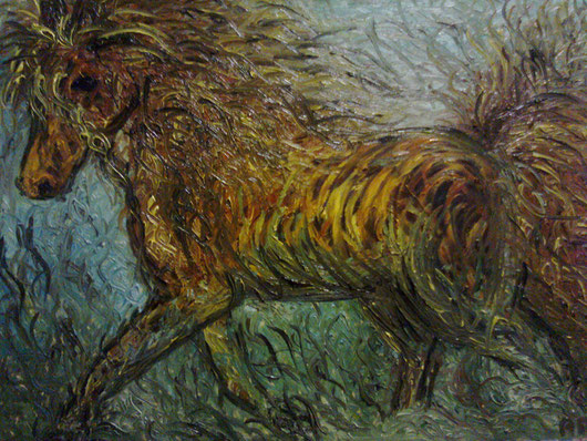 ZOCCOLI SULLA SABBIA - olio su tela 45 x75 - 2011