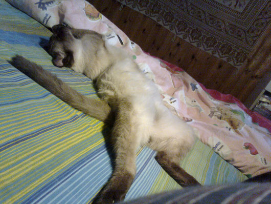 BAINJO DORME DELLA GROSSA...