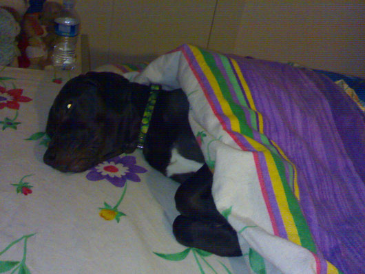GINE DORME ACCANTO A ME....