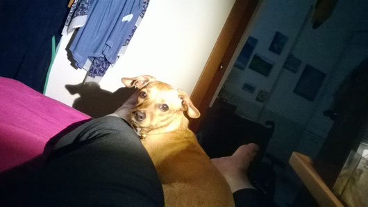 BRUGOLA SUL LETTO, VICINO ALLE MIE GAMBE....