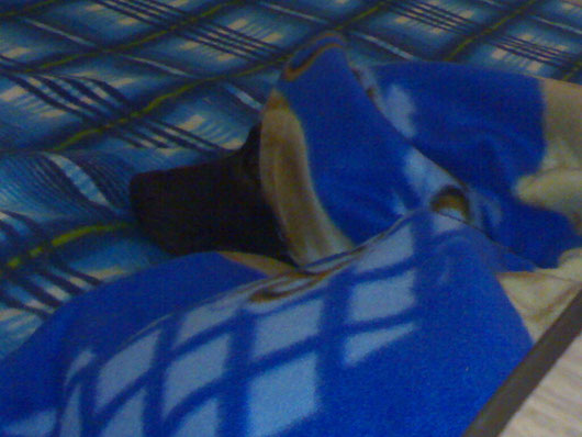GINE SOTTO LA COPERTA....
