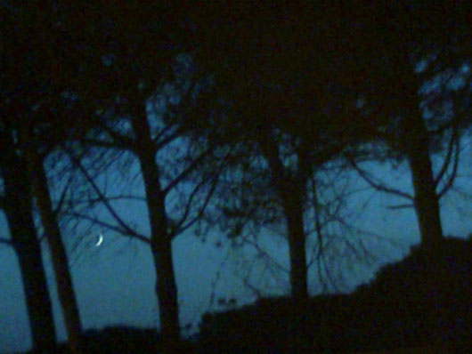 UNO SPICCHIO DI LUNA- foto scattata da me