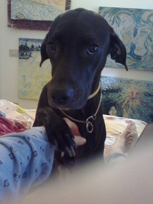 GINE CON LA FACCIA DA POVERA ORFANELLA