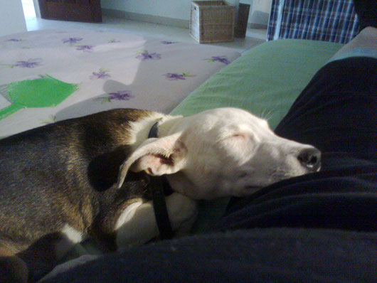 ETTA DORME COME UNA BAMBINA..