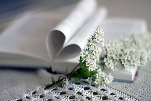 ページがハート形に折られた本。白の小さな花のついた小枝。