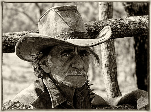 Roy Walker Stockman