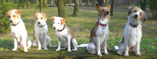 Nuby,Deetje,Ekna,Amine und ich!