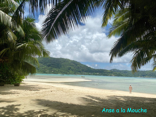Bild: Anse a la mouche