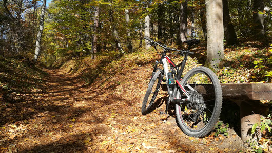 Mountainbike im Wald lehnt an Holzbank